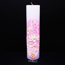 원백/원기둥연꽃야광초-분홍(국산)