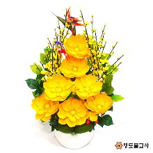목련꽃-노랑(법당꽃)