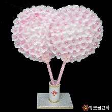 원형꽃선녀부채-분홍
